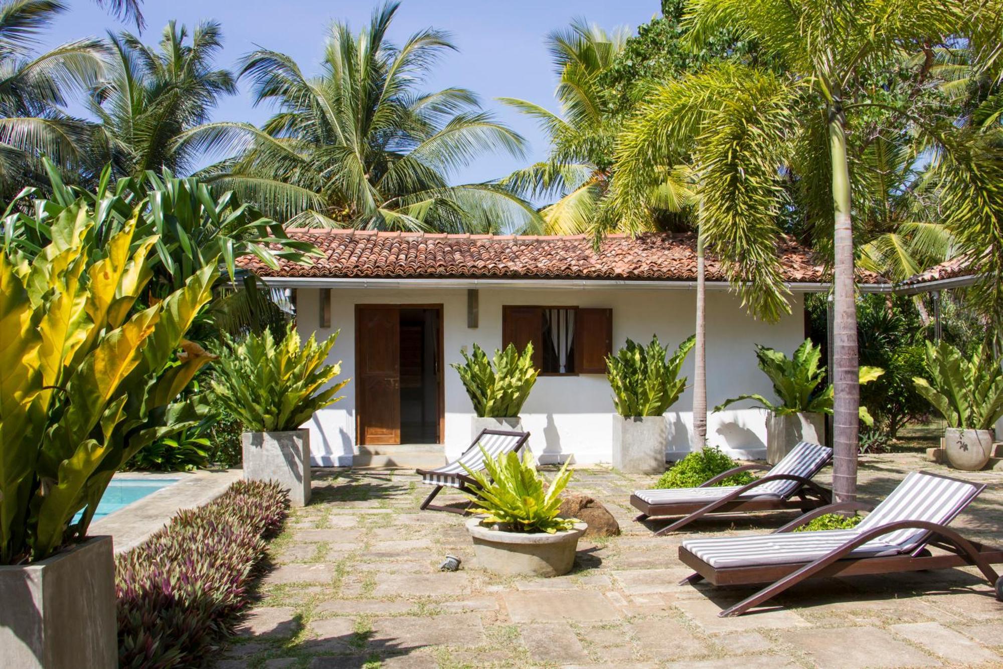 מלון דיקוולה The Saffron House מראה חיצוני תמונה