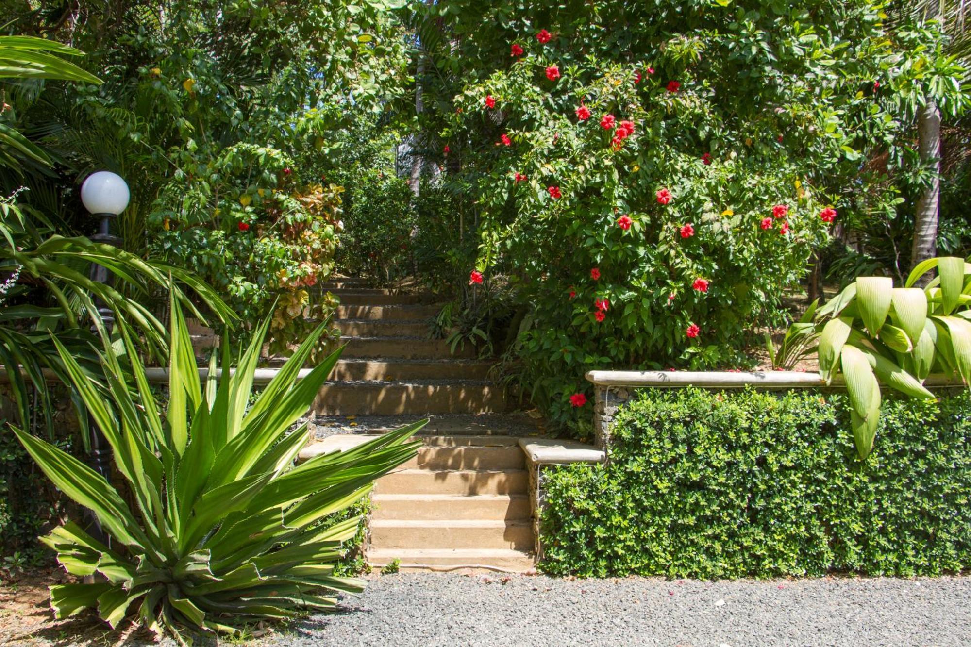 מלון דיקוולה The Saffron House מראה חיצוני תמונה